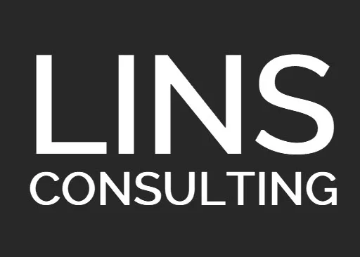LINS asesoría empresas Castellón